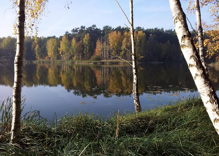 Nr-10 By Interhome * Bad Saarow